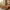 Herbal Body Massage Oil – 280g x 2