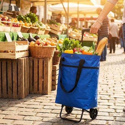 Trolly Bag Assorted Colors