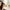 Hair Color Stick for White Hair Coverage