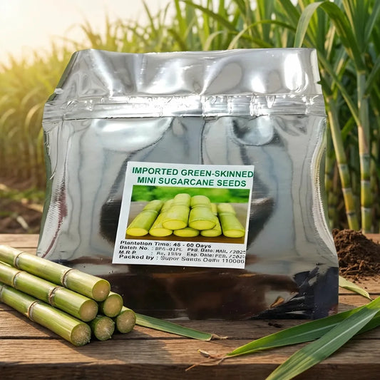 Green-Skinned Mini Sugarcane Seeds
