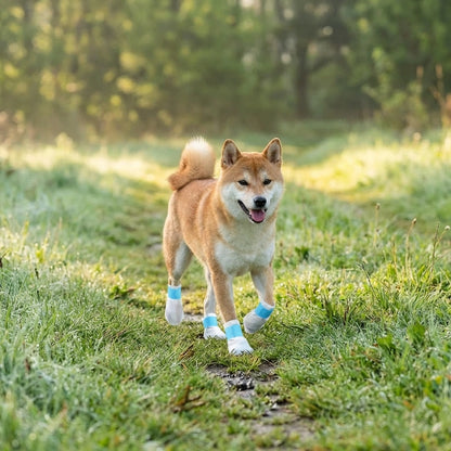 Pet Walking Disposal Shoe 20 pcs