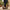 CloudComfort Vegan Loafers