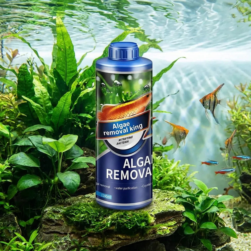 Algae Remover for Fish Tanks & Ponds