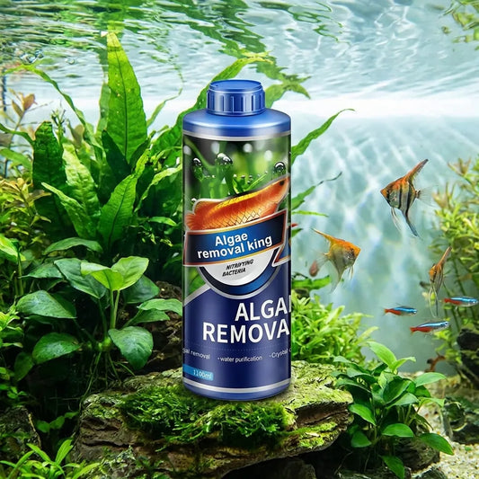 Algae Remover for Fish Tanks & Ponds