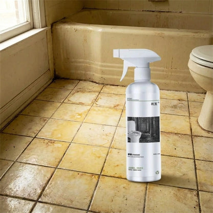 Multi-Purpose Oxalic Acid Stain Removal Spray (Pack Of 2)