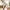 Seamless Tummy Control Shapewear