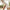 High Waist Body Shapewear