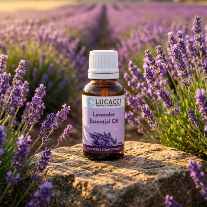 Lucacci Pure Lavender Essential Oil - 30ml