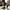Mens Trendy Daily wear Casual Shoes