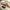 Seamless Lace Panties – Breezy Comfort