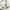 Aloe Vera Whitening Toothpaste