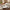 11-Piece Dinner Set with Donga