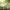 Mosquito Repellent Patches (Pack of 36 Patches)