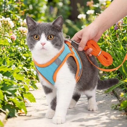 Cat Harness with Leash Adjustable Comfortable