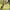 Ultrasonic Dog Chaser Stop Animals Attacks Aggression