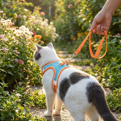 Cat Harness with Leash Adjustable Comfortable