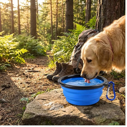 Portable Collapsible Pet Bowl