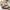 Effortless Stainless Steel Belan