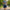 Essential Shorts 4-Pack