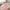 Baby Play Mat