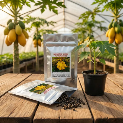 Premium Papaya Seeds