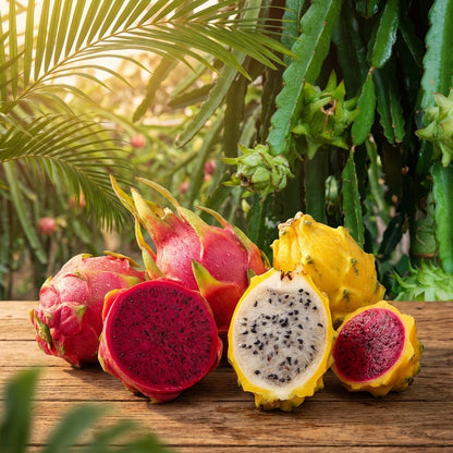 Rainbow Dragon Fruit Seeds