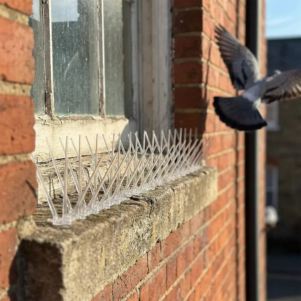 Anti-Bird Spike Strips