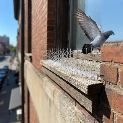 Anti-Bird Spike Strips