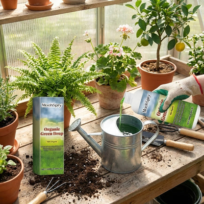 Organic GreenBoost Plant Fertilizer
