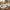11-Piece Dinner Set with Donga