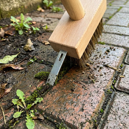 Hard Wire Weed Removal Brush Tool