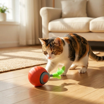 Rolling Ball Cat Toy
