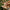Sankatmochan Protection Mala