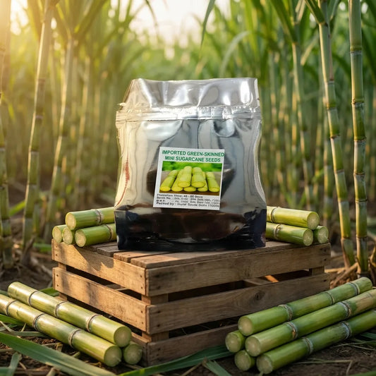 Mini Sugarcane Seeds