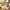 Rotating Spice Vertical Rotatable Jars