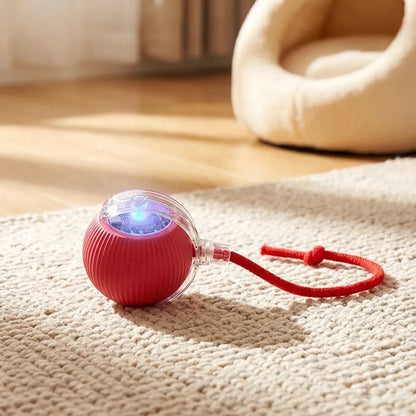 Viral Rolling Ball,Interactive Cat Ball Toy