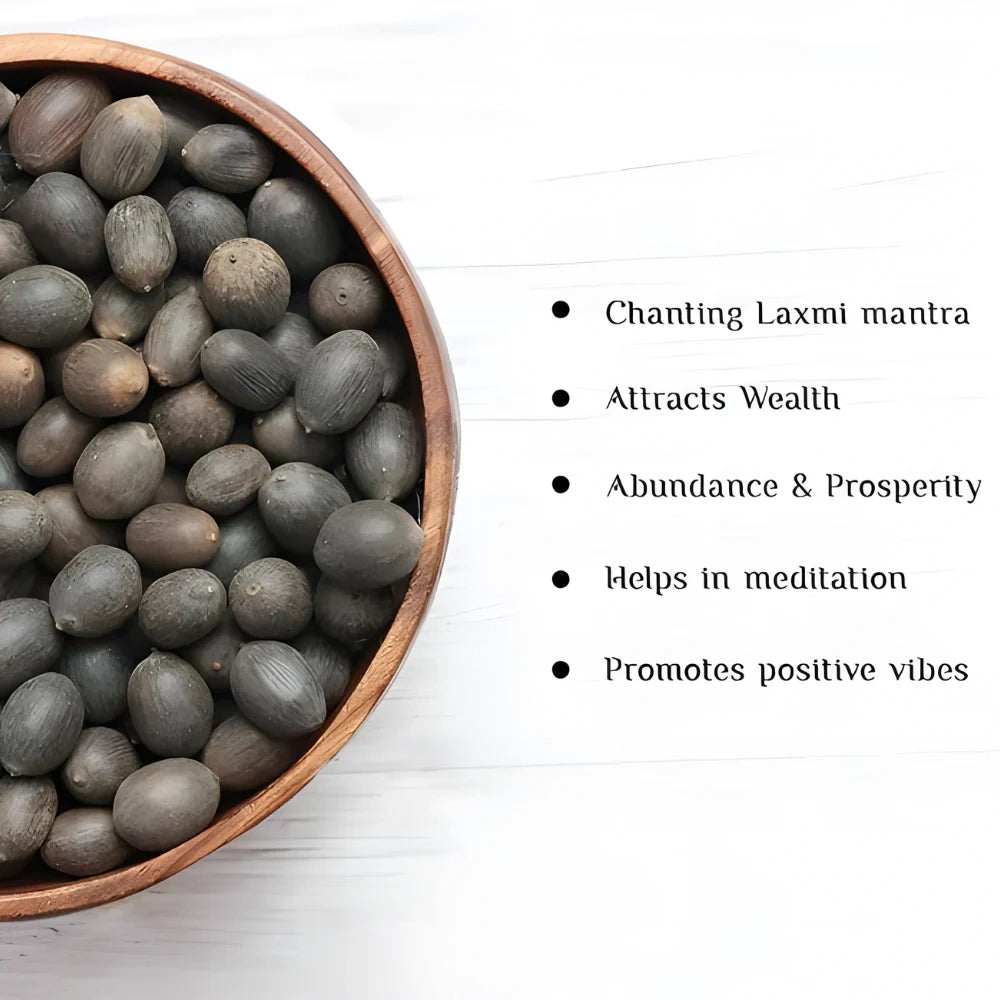 Bonsai Lotus Flower Seeds