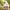 Summer Sun Protection Women Cap Mask
