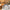 Best 2-head electric neck & back massager - massagers | 2026 | fast shipping