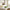 Best 2-in-1 electric egg cooker - skillets & woks | 2026 | fast shipping