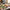 Best 2-in-1 electric egg cooker - skillets & woks | 2026 | fast shipping