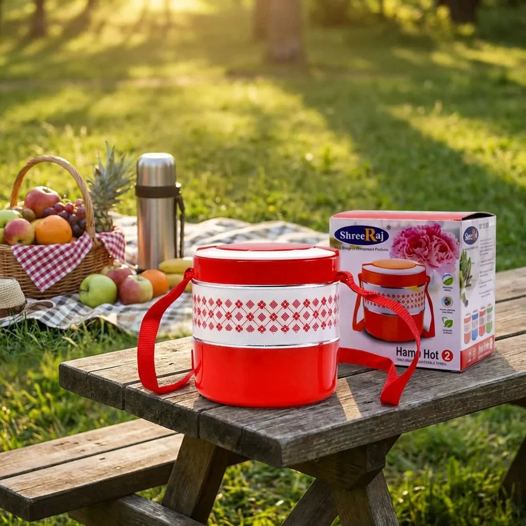 Best 2-layer insulated tiffin box - lunch sets | 2026 | fast shipping