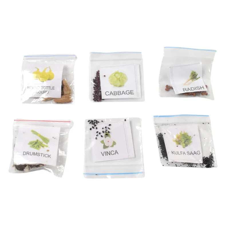 20 Varieties Of Vegetable Flower Seeds Combo (1 Pkt. Varieties) - Garden