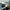 Automotive Interior Renovator