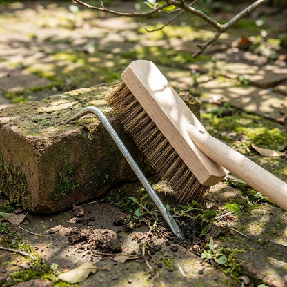 Hard Wire Weed Removal Brush Tool