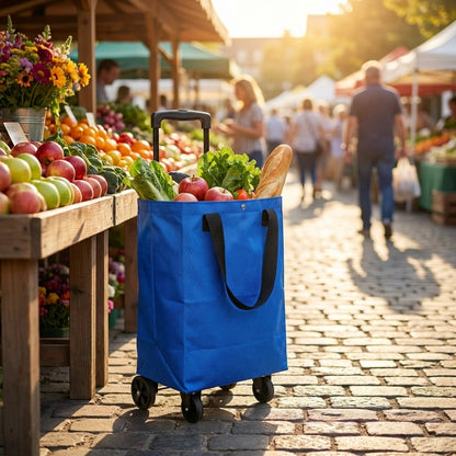 Trolly Bag Assorted Colors