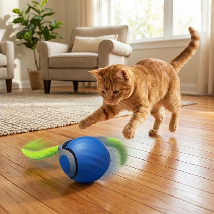 Rolling Ball Cat Toy