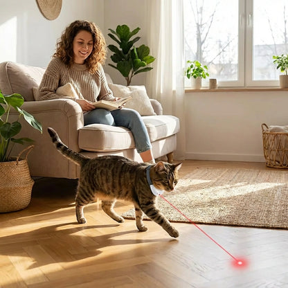Pet Laser Collar Self Teasing Toy