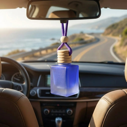 Hanging Car Perfume Pods Diffuser Scent (Pack of 1 Assorted Perfume)