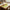 Best 2969 apple shape 2piece serving set of bowl with spoon tray. Dinnerware snacks pickle - serveware | 2026 | fast